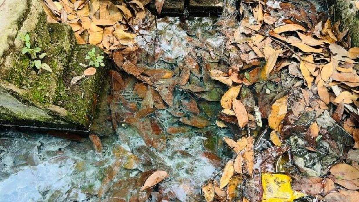 ইসলামী বিশ্ববিদ্যালয়ে আবর্জনার স্তুপ