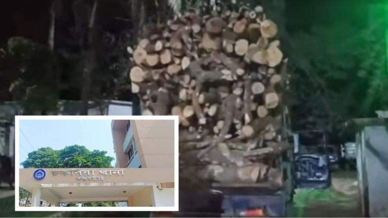 চকরিয়া থানায় ফের ক্যাশিয়ার প্রথার অভিযোগ, টাকা না দেওয়ায় গাছের গাড়ি আটক