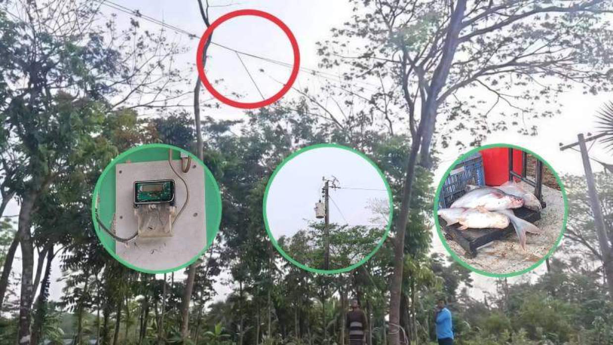 বিদ্যুতের লাইনে নাশকতার অভিযোগ, ক্ষতিগ্রস্ত শতাধিক পরিবার