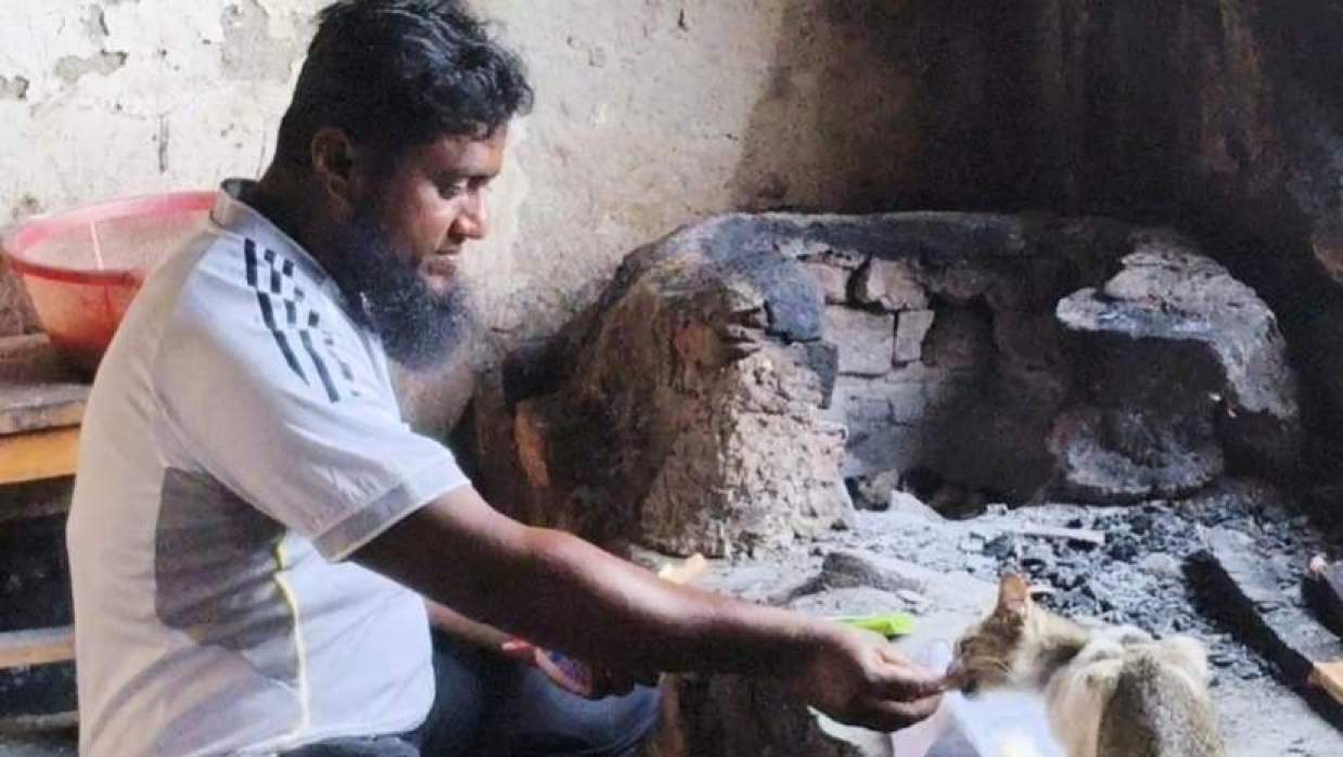 ঈদের ছুটিতে ফাঁকা ছাত্রাবাসে মা বিড়াল ও চার ছানা, যত্নে নৈশ প্রহরী