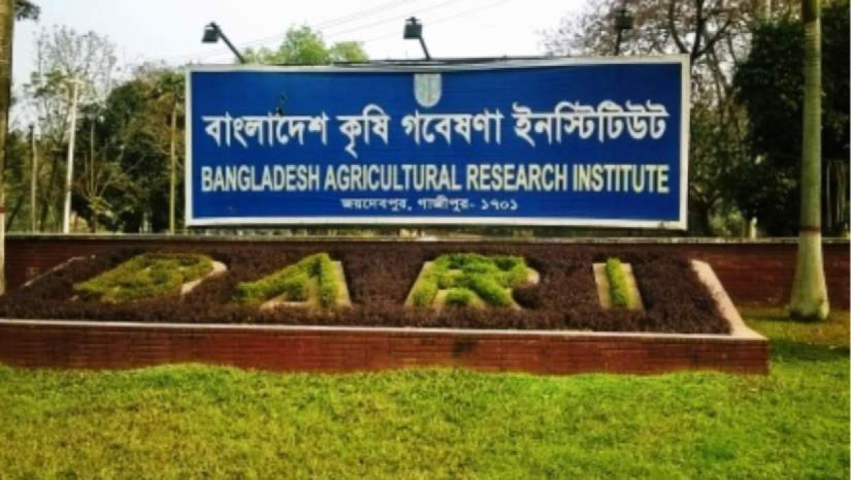 ৩০ পদে ১৯১ কর্মকর্তা-কর্মচারী নিয়োগে আবেদন চলছে বাংলাদেশ কৃষি গবেষণা ইনস্টিটিউটে