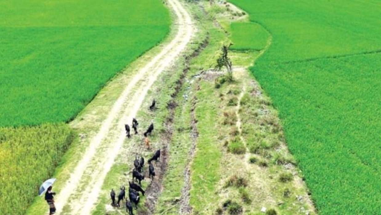 খাল পুনঃখনন করছেন শ্রমিকরা