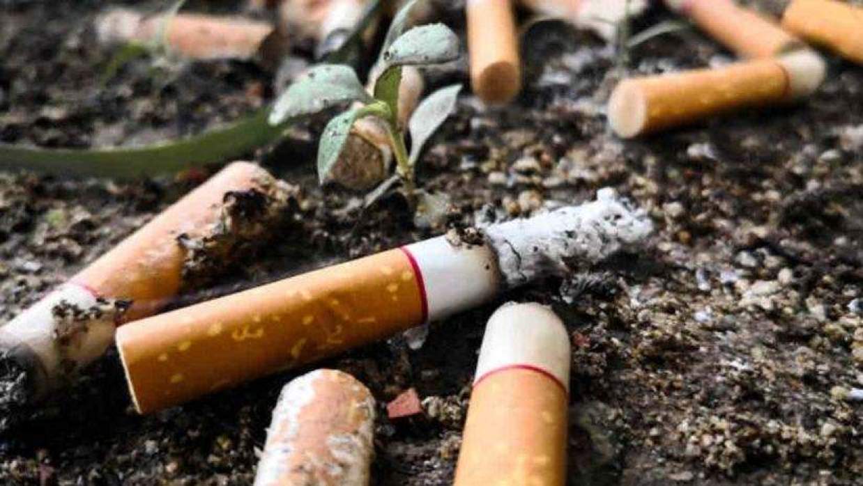 মাটিতে মিশতে চায় না সিগারেটের ফিল্টার, ১০ বছর পরও ছড়ায় ‘বিষ’: গবেষণা