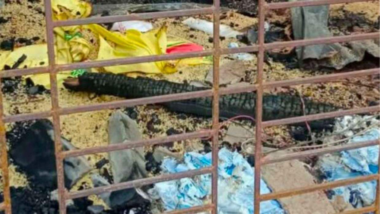 আগুনের লেলিহান শিখা কেড়ে নিলো জীবিকা, চরফ্যাশনে ৫ দোকান ভস্মীভূত