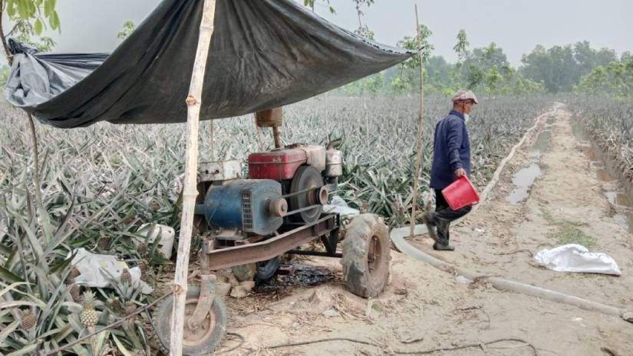 পাহাড়ি লালমাটির আনারস জলডুগিতে জল দিচ্ছে চাষিরা