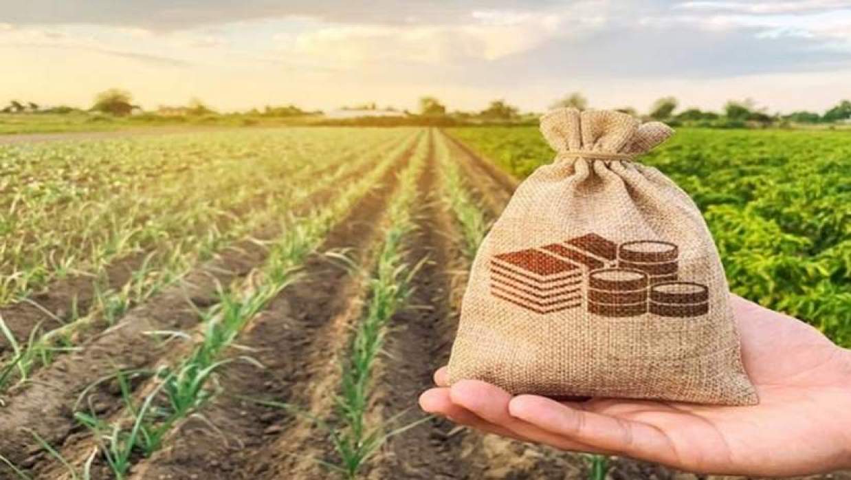 যশোরে  কৃষি ব্যাংক থেকে নেওয়া ঋণ মওকুফ হচ্ছে 