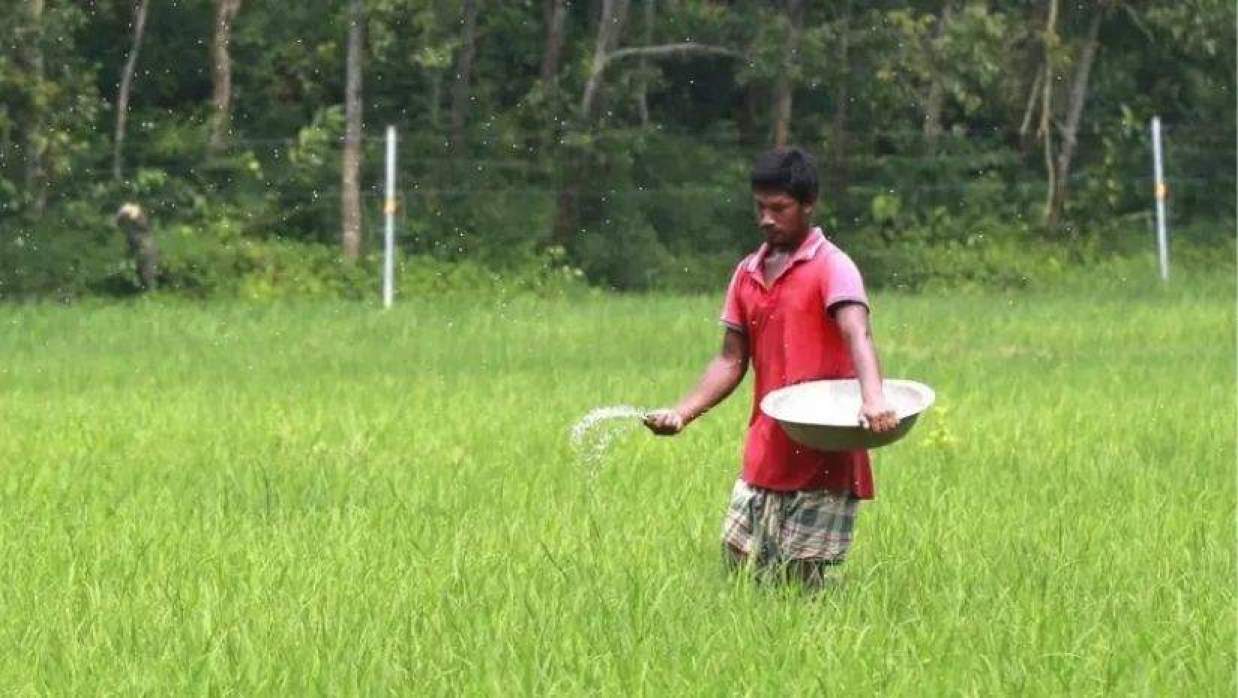 প্রতীকী ছবি