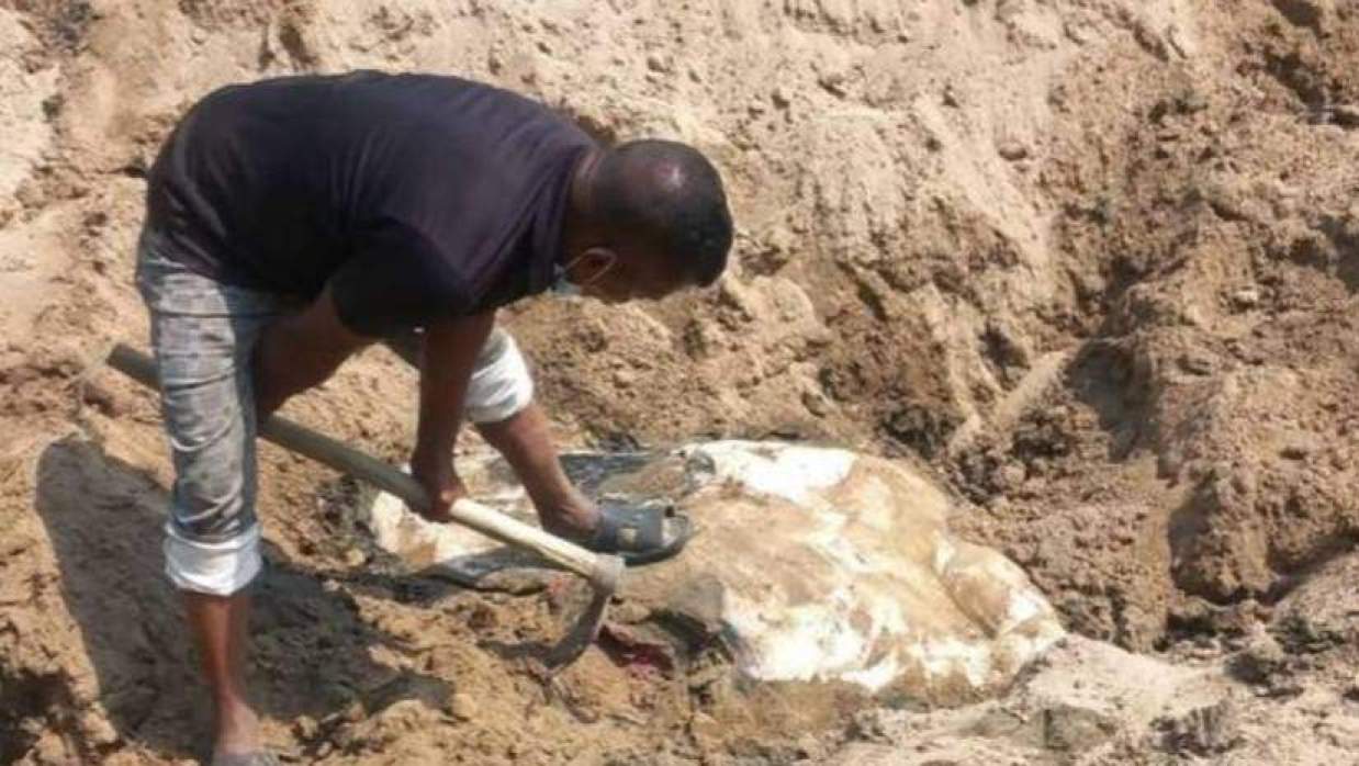 মাটিচাপা দেওয়া হাতির মরদেহ