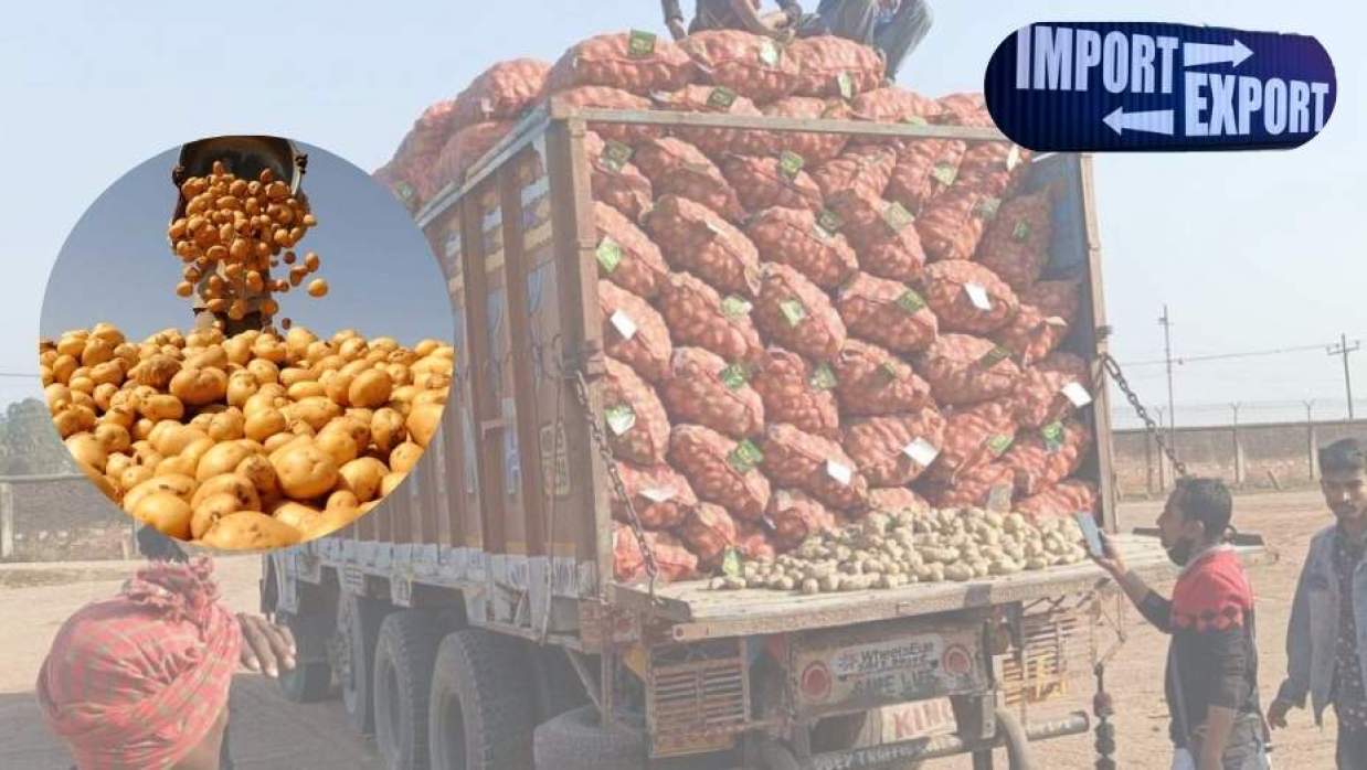 আলু রপ্তানি