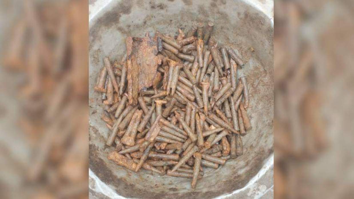 উদ্ধার করা গুলি