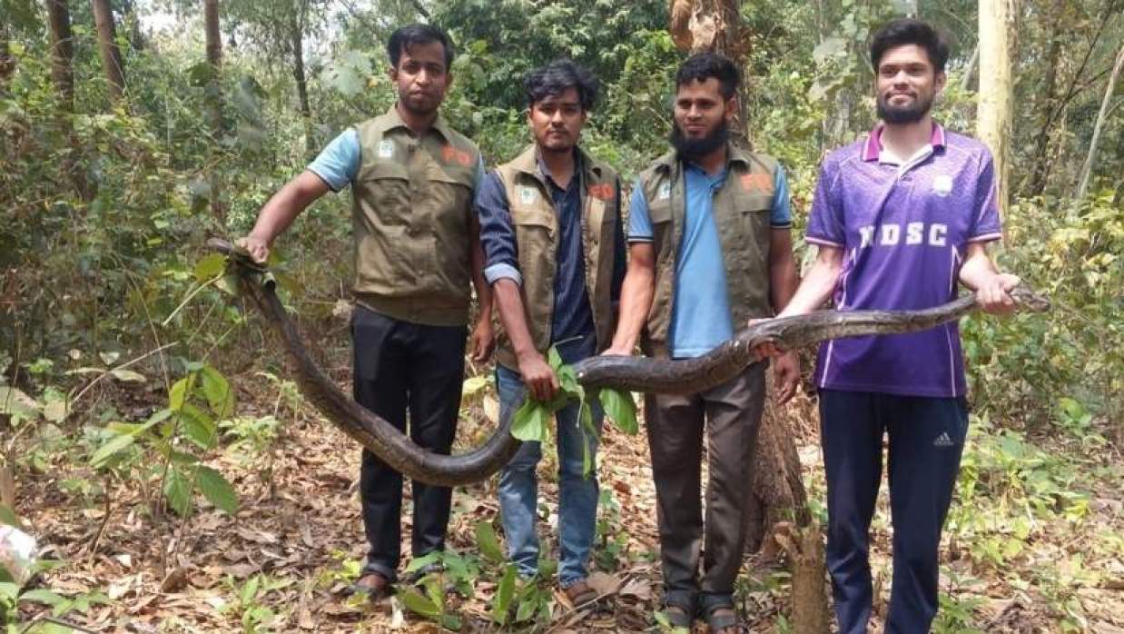 মিরসরাই বসতঘর থেকে অজগর উদ্ধার