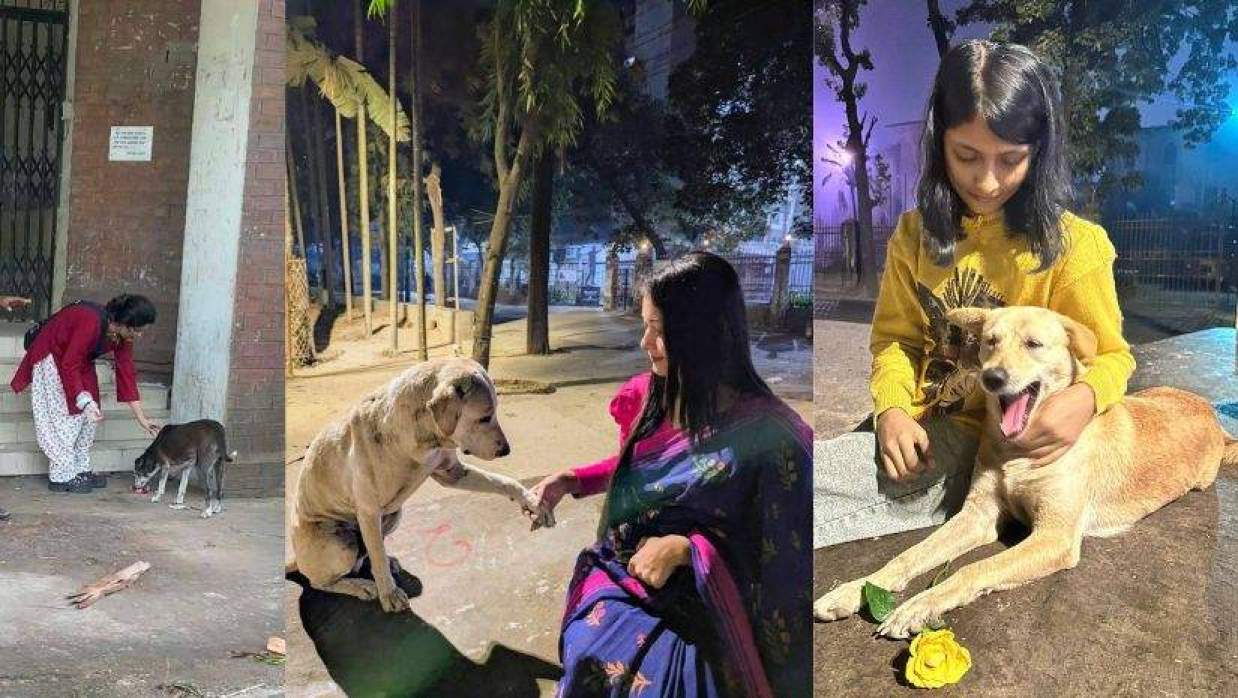 ক্যাম্পাসের প্রাণীদের সঙ্গে এনিমেল ওয়েলফেয়ার টিম অফ ঢাকা ইউনিভার্সিটির সদস্যরা 