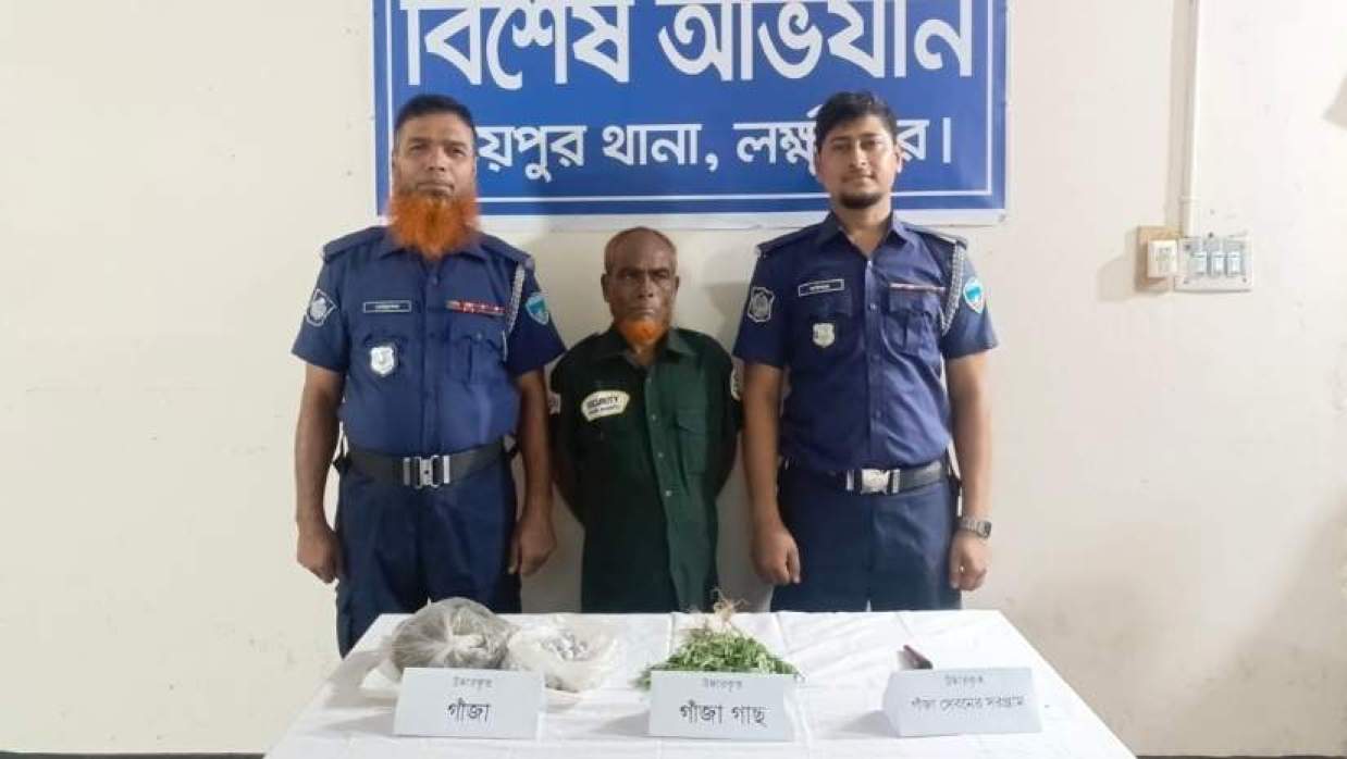 গাঁজা চাষ ও বিক্রির অভিযোগে বৃদ্ধ গ্রেফতার, বিপুল মাদক উদ্ধার