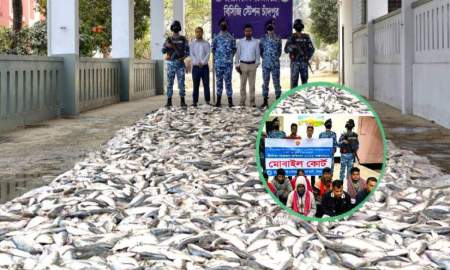 চাঁদপুরে কোস্টগার্ডের অভিযানে বিপুল পরিমাণ জাটকা জব্দ, আটক ১০