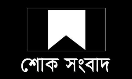 মা হারালেন ঢাবি প্রো-ভিসি অধ্যাপক ড. মামুন আহমেদ