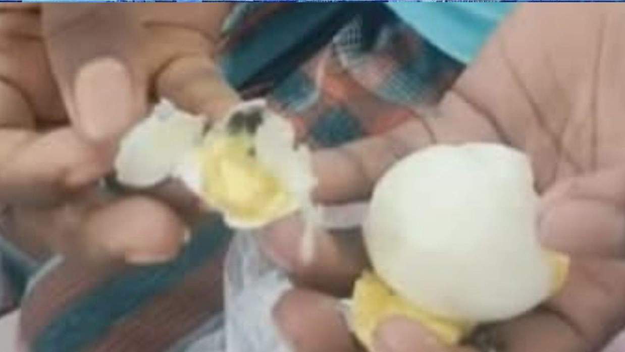 নাস্তার জন্য দেওয়া পচা ডিম