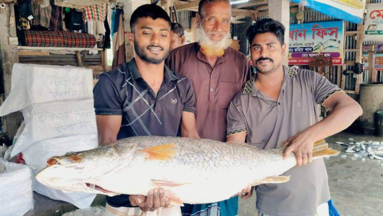 কুয়াকাটায় জেলের জালে ধরা পড়া এক কোরাল সাড়ে ২৯ হাজারে বিক্রি