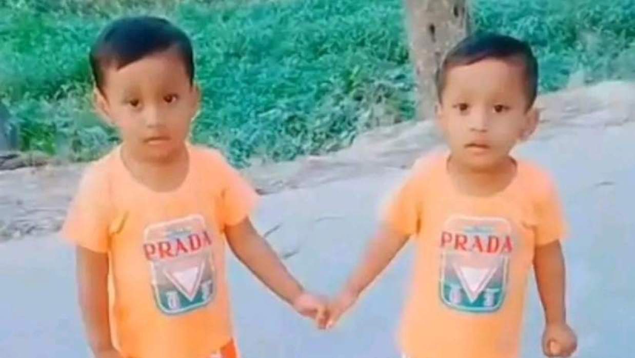 মো. তাইব ও মো. তাহমিদ