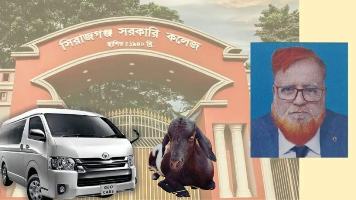 হায়েস গাড়ি ছাগল ও অধ্যাপক আমিনুল ইসলাম