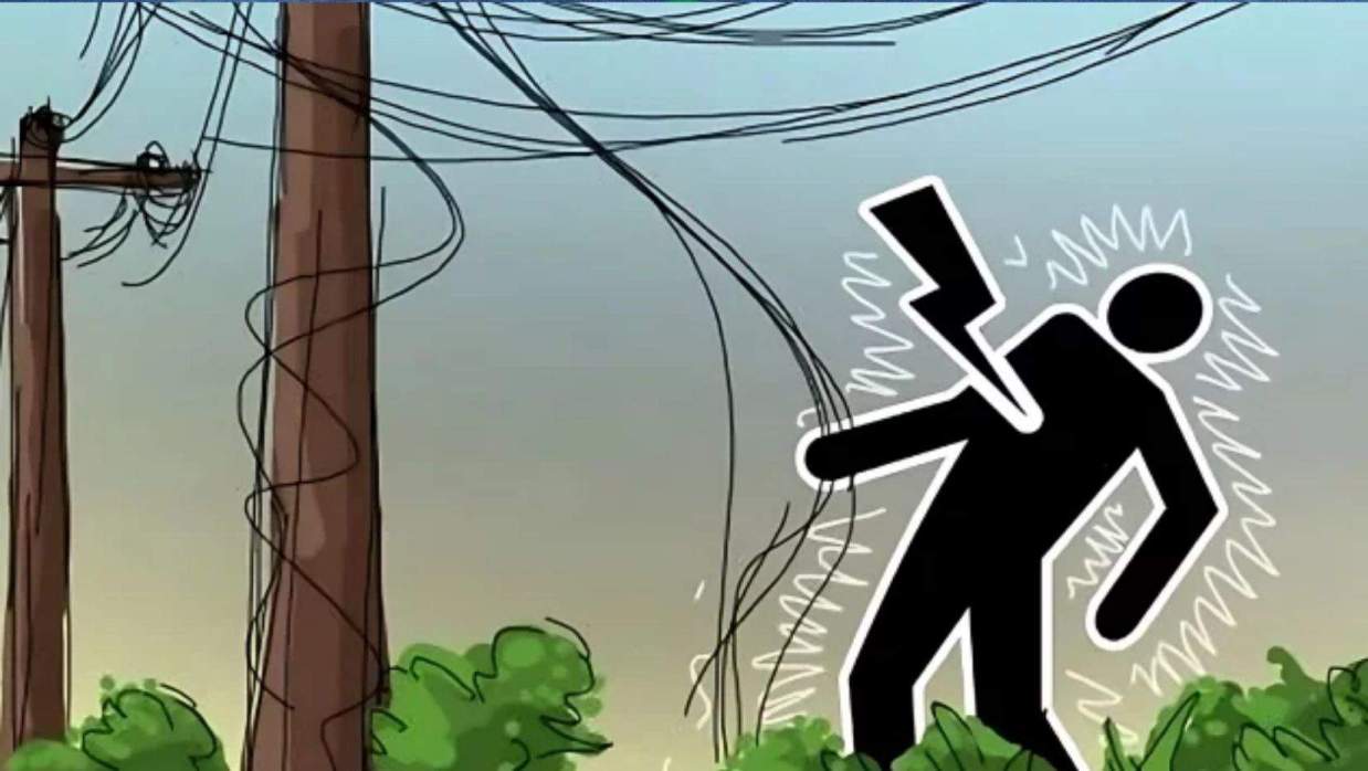 ইলাস্ট্রেশন