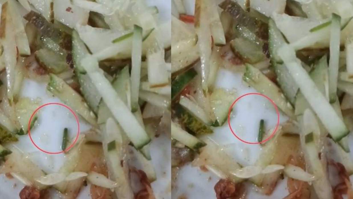  ঢাবির হল ক্যান্টিনে খাবারে মিলল জীবিত পোকা 