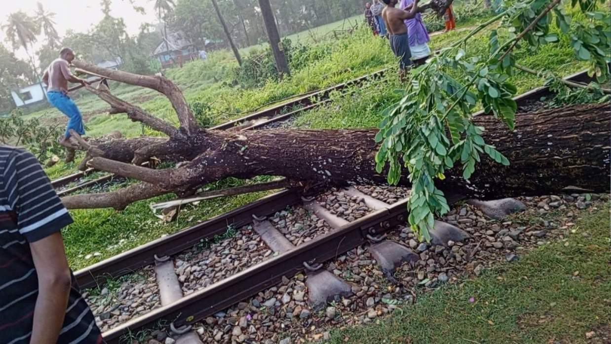 ঝড়ে রেল লাইনে গাছ উপড়ে পড়ায় ঢাকা-নোয়াখালি রুটে ট্রেন চলাচলে বিঘ্ন