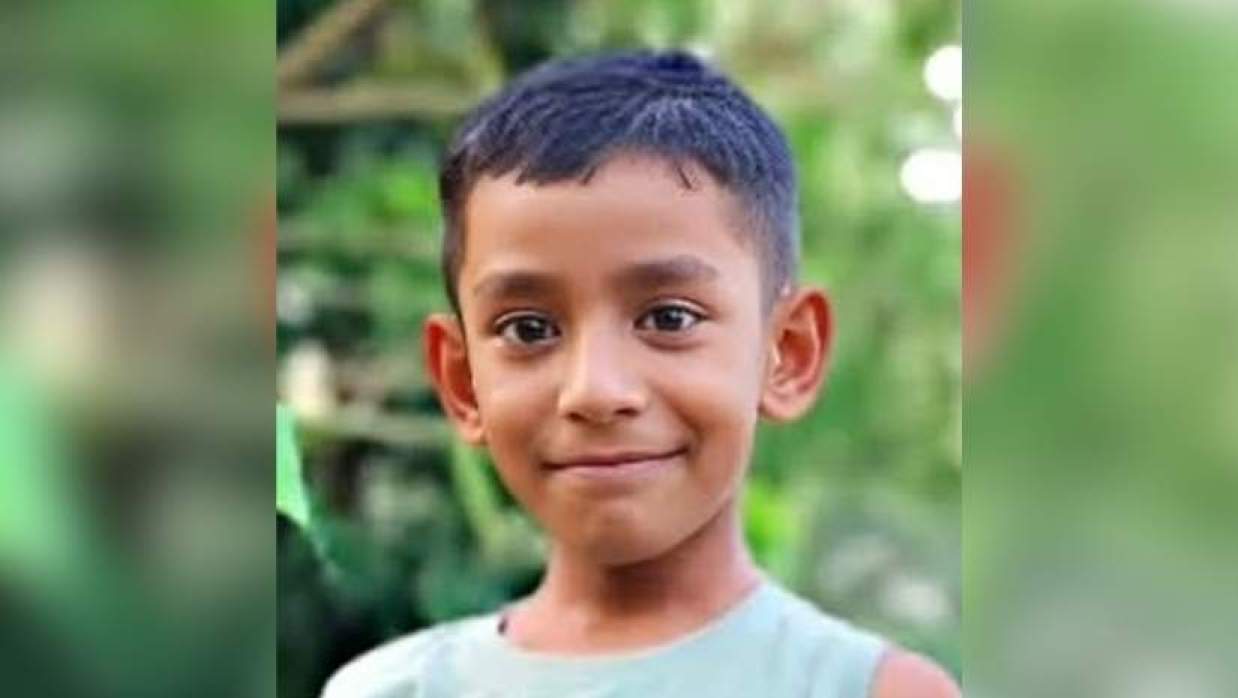 আম পাড়তে গিয়ে পা ছিটকে পায়ুপথে রড ঢুকে শিশুর মৃত্যু