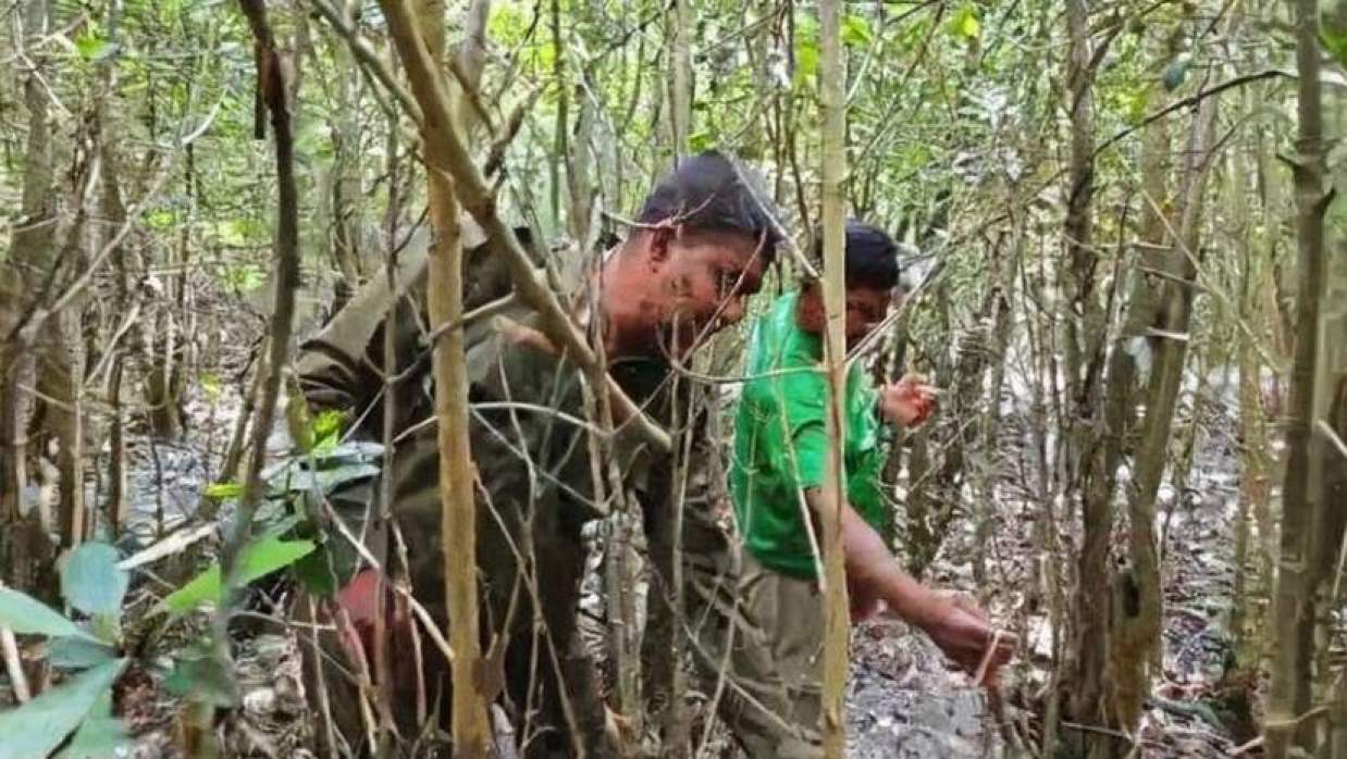 সুন্দরবনে বন বিভাগের অভিযানে হরিণ শিকারের ফাঁদ জব্দ