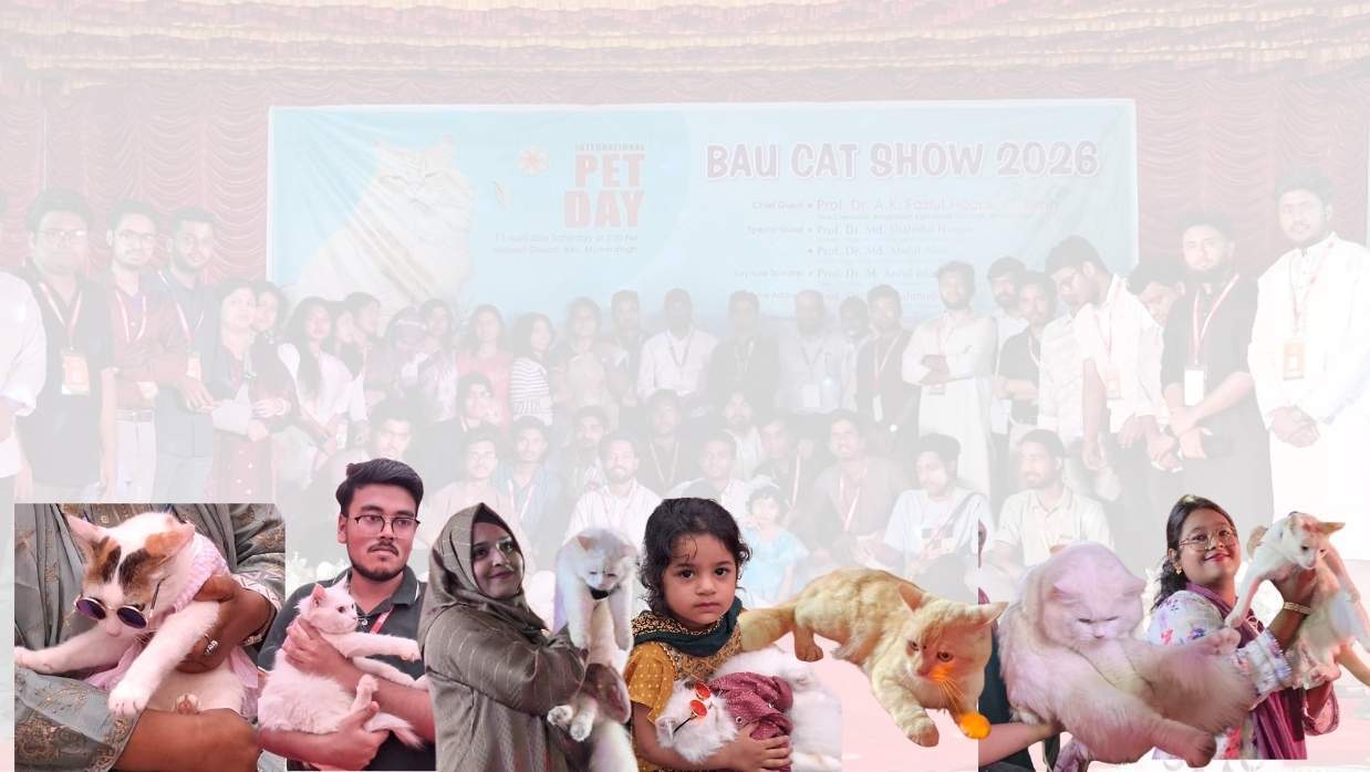 বাকৃবিতে বিড়ালপ্রেমীদের মিলনমেলা ও ‘ক্যাট শো’