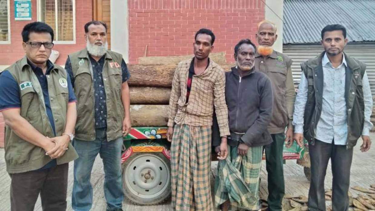সীমান্তে বনের গাছ কাটার সময় আটক ২