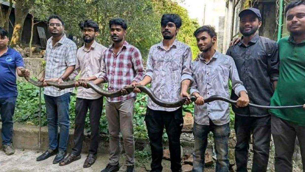 চট্টগ্রাম বিশ্ববিদ্যালয়ে ১২ ফুটের ‘কিং কোবরা’ উদ্ধার