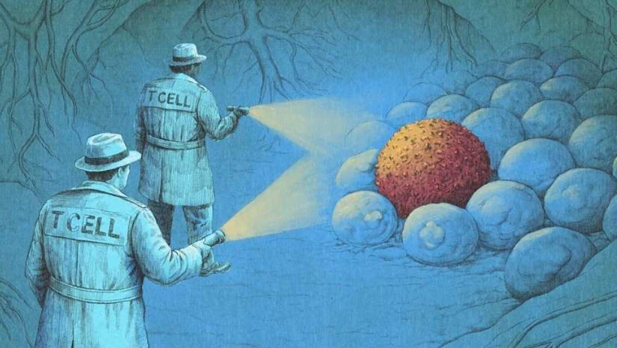 ক্যান্সার কোষ শনাক্তকারী সেল