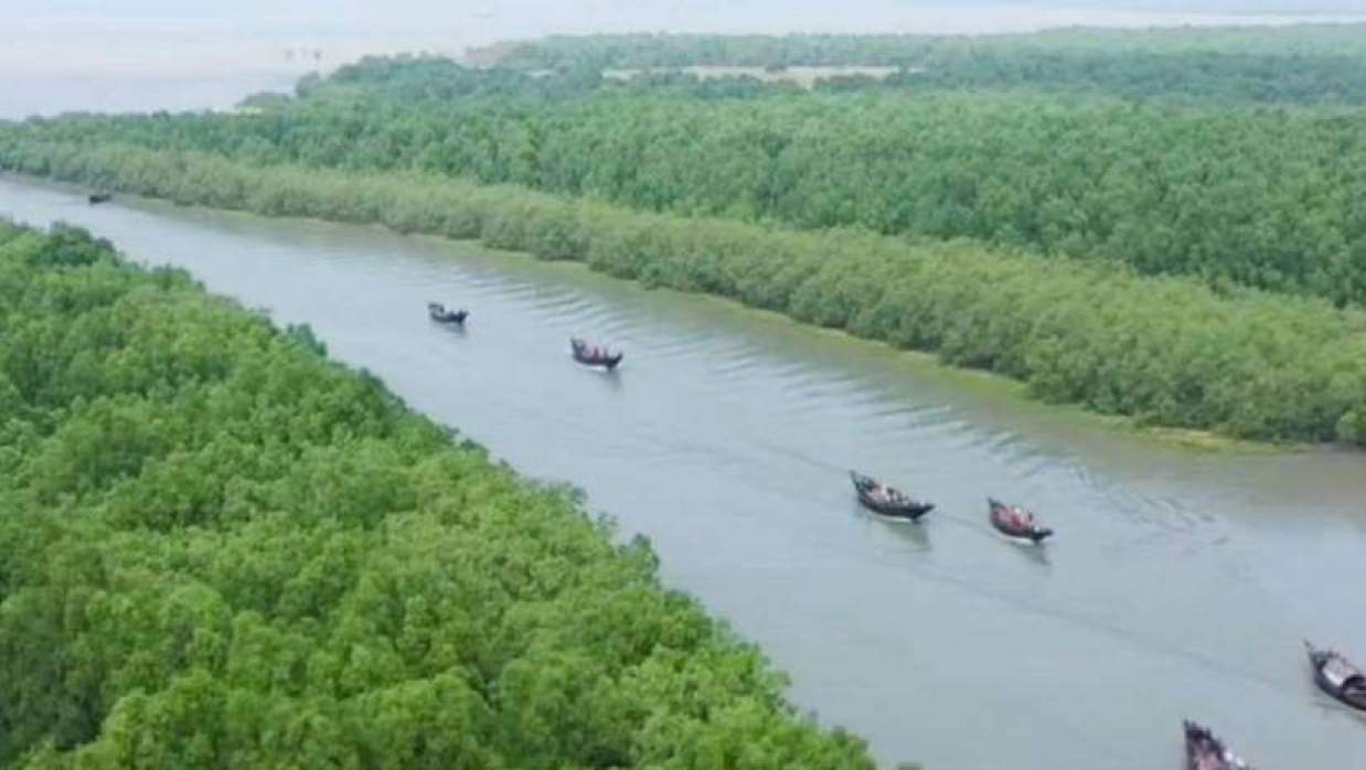 বনদস্যু আতঙ্কে সুন্দরবনে যাচ্ছেন না মৌয়ালরা