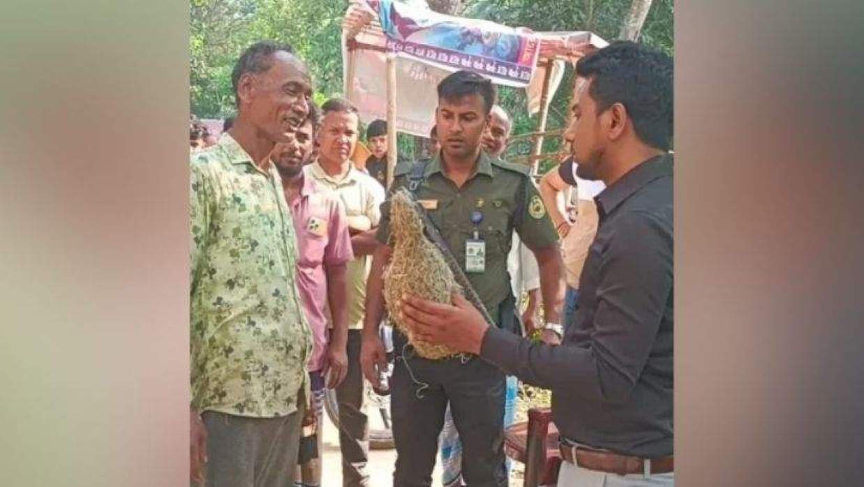 বাবুই পাখির বাসা কেটে ছানা হত্যা, বৃদ্ধকে কারাদণ্ড