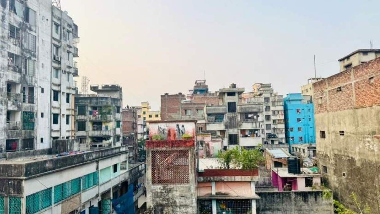 নগরীর চাকচিক্যের অন্তরালে বিপন্ন পক্ষিকুল