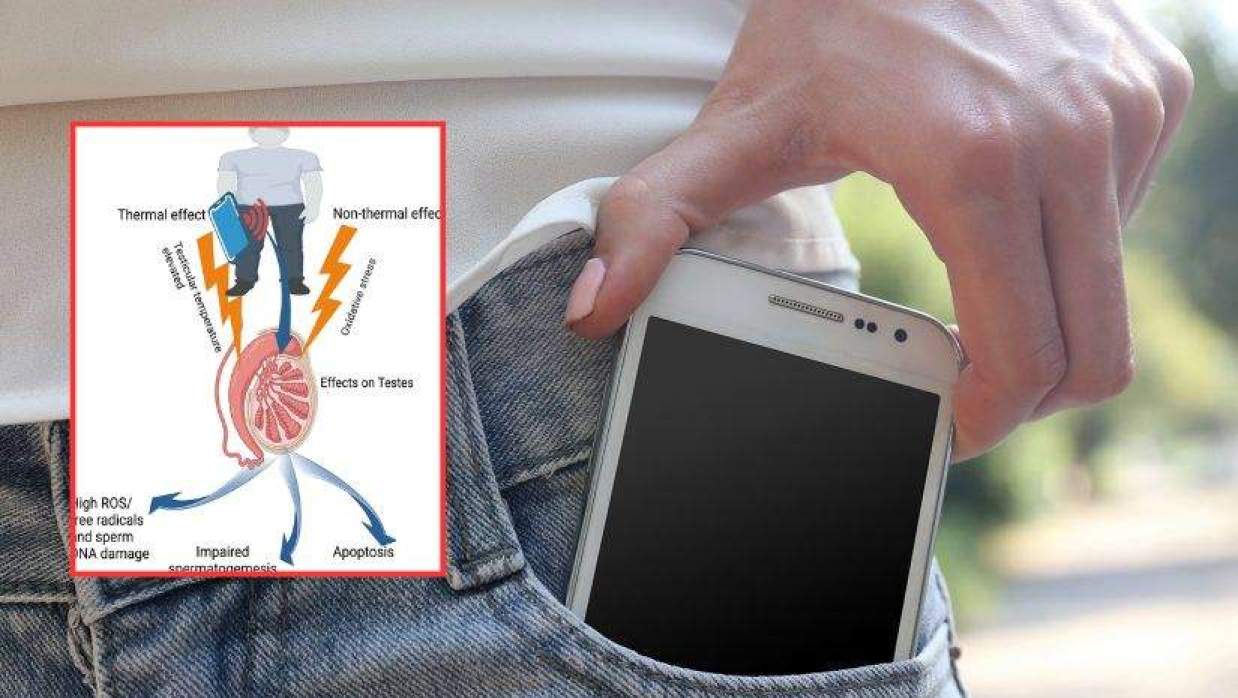 স্মার্টফোন পকেটে রাখলে পুরুষের প্রজনন ক্ষমতা কমার ঝুঁকি, কী বলছে গবেষণা