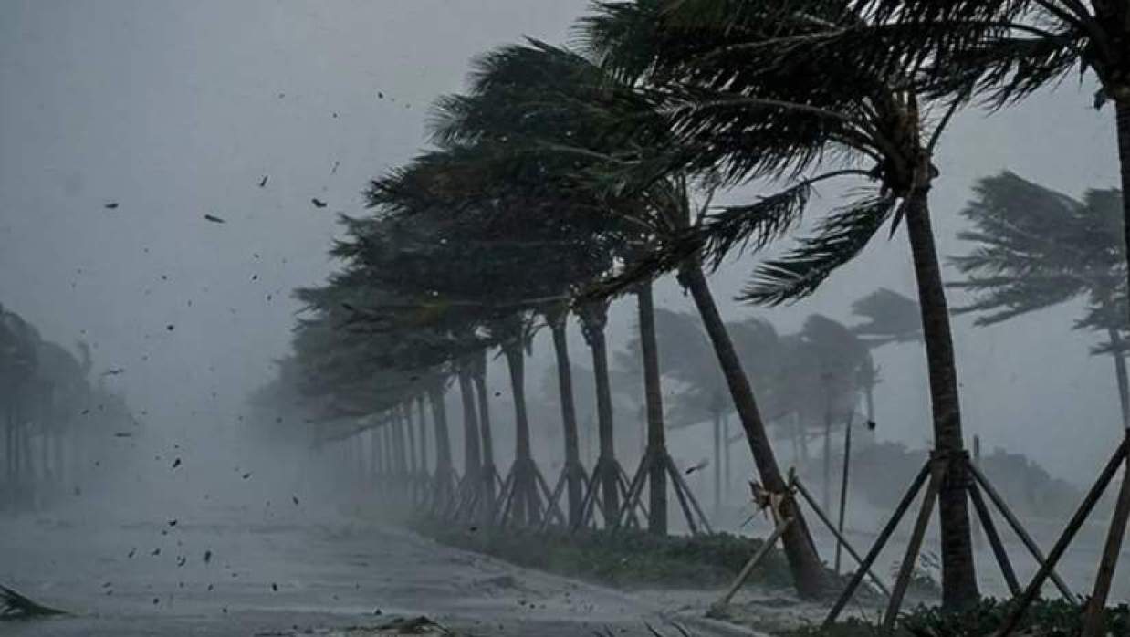 ঝড়ো হাওয়াসহ বৃষ্টি