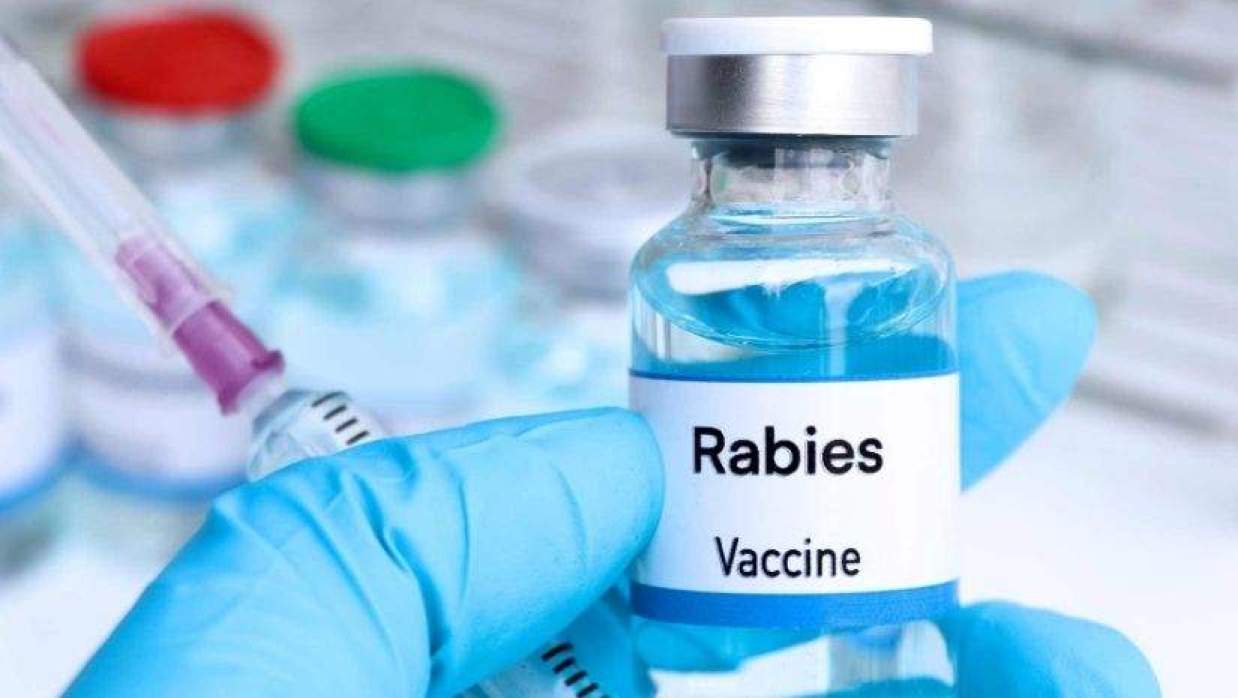 মজুত নিয়ে ধোঁয়াশা, সংকট মরণব্যাধি জলাতঙ্কের টিকার