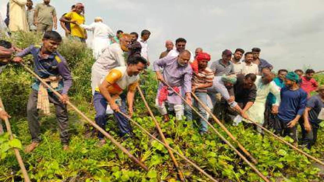 খালের কচুরিপানা পরিষ্কার কার্যক্রমে অংশ নেন গোপালগঞ্জ-৩ আসনের সংসদ সদস্য এস এম জিলানী