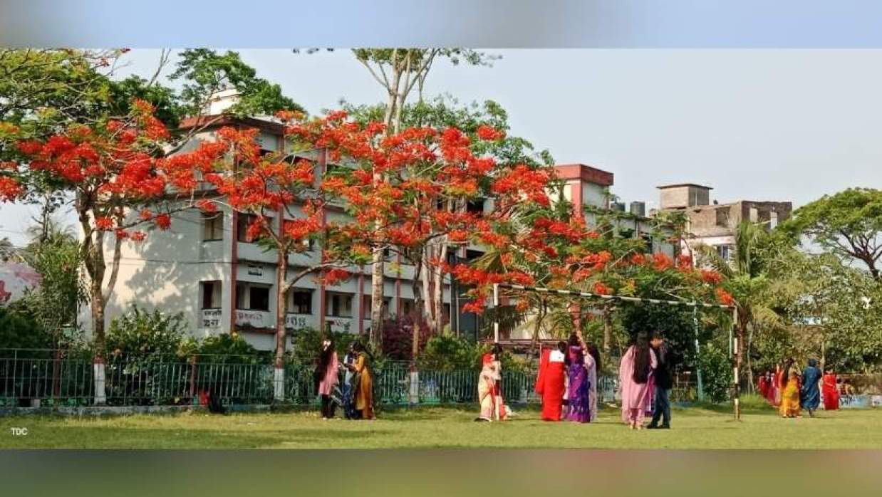 কৃষ্ণচূড়ার রঙে রাঙা বরগুনা সরকারি কলেজ ক্যাম্পাস