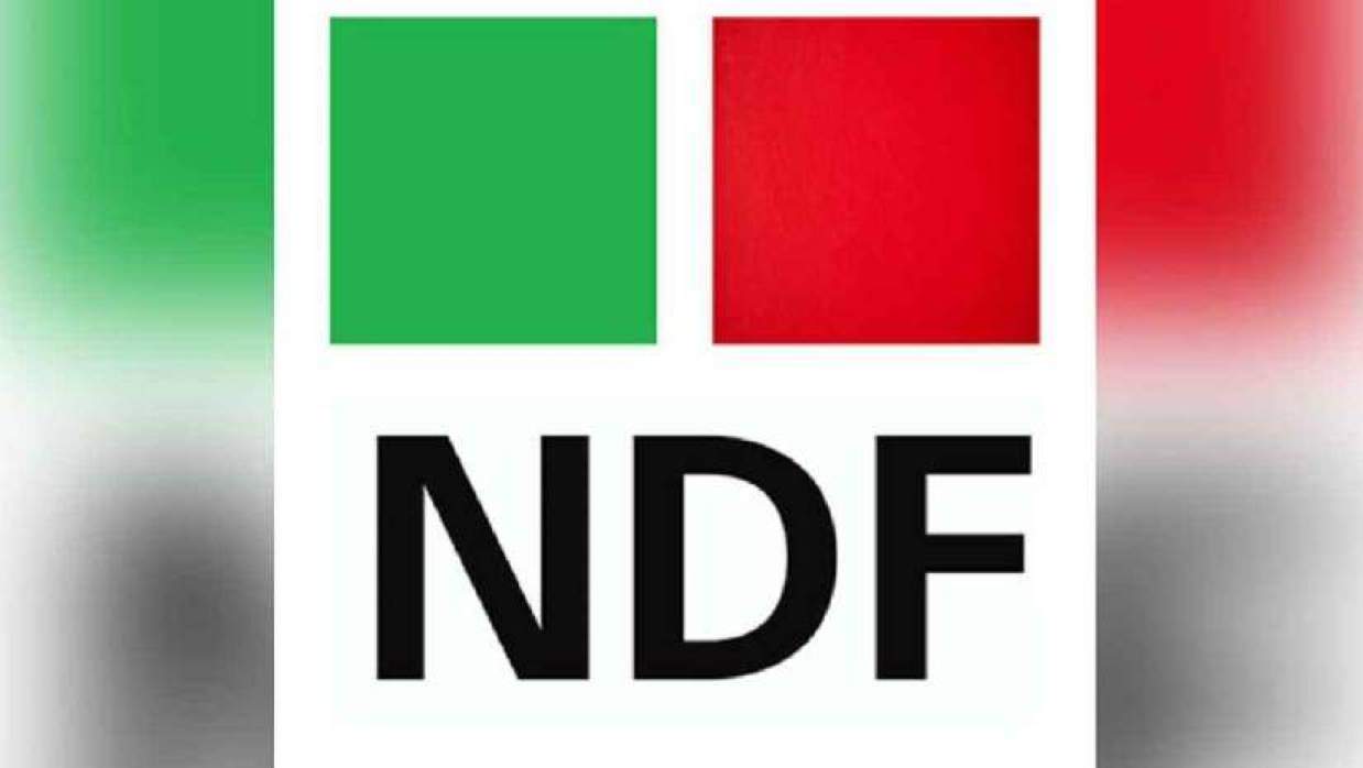 ন্যাশনাল ডক্টরস ফোরাম