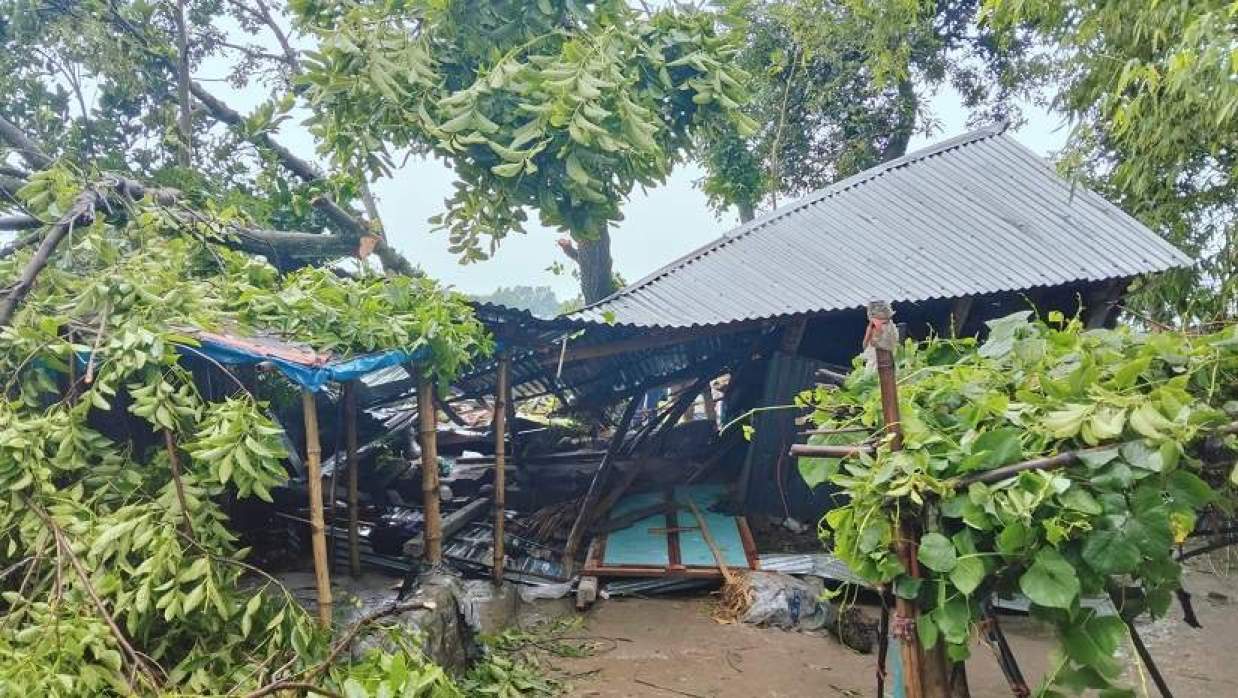 মেলান্দহ উপজেলার নয়ানগর ইউনিয়নের দাগী এলাকায় বাড়ির ওপর ভেঙে পড়া গাছ