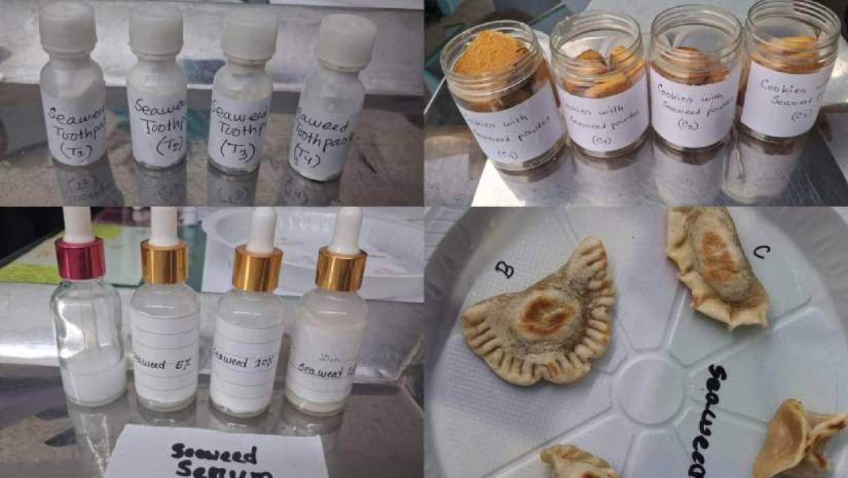 সামুদ্রিক শৈবাল থেকে তৈরি ফেস সিরাম, টুথপেস্ট, কুকিজ