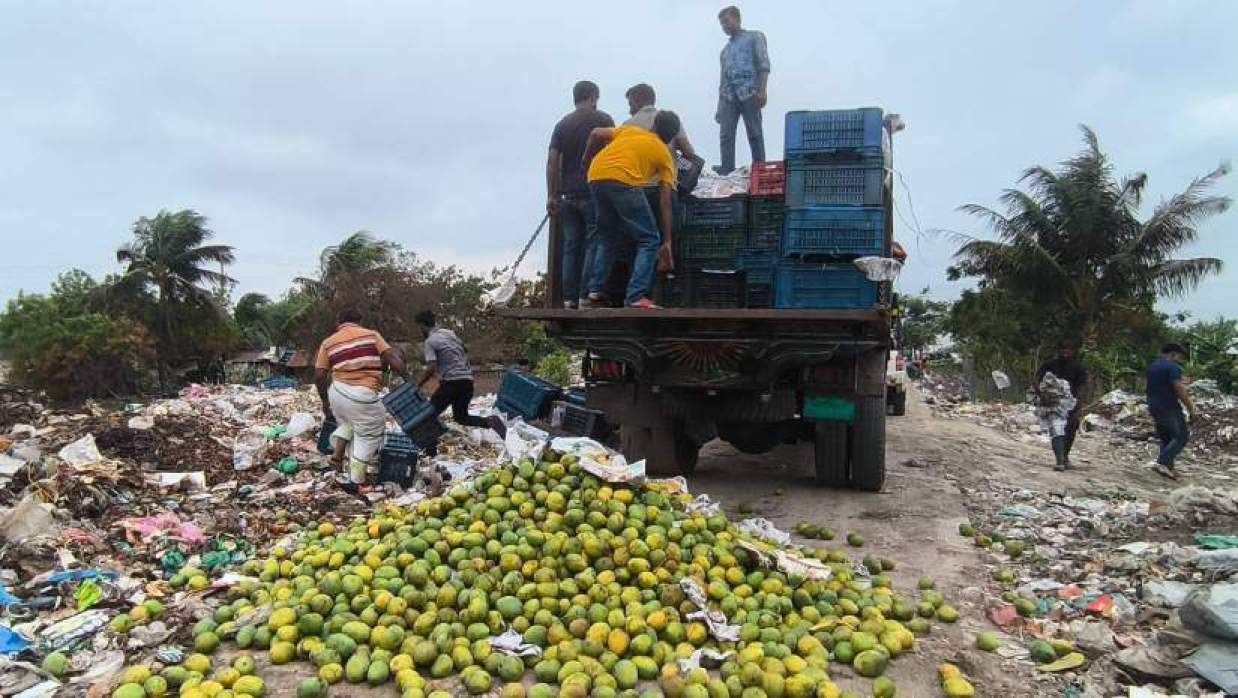 জব্দ করাআমগুলো ধ্বংস করে প্রশাসন