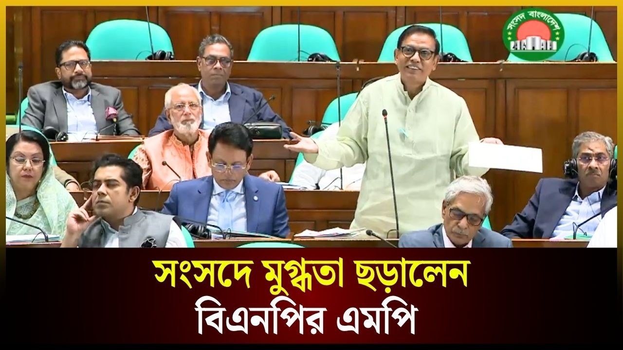 সংসদে মুগ্ধতা ছড়ালেন বিএনপির এমপি