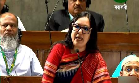 স্থানীয় প্রশাসনে দলীয় নেতাদের পুনর্বাসন হচ্ছে: রুমীন ফারাহানা