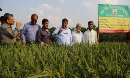 ‘কমল’ বীজ ধান নিয়ে কৃষকদের সঙ্গে মতবিনিময় জিয়াউর রহমান ফাউন্ডেশনের