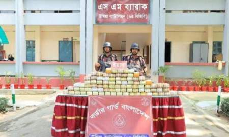 টেকনাফে বিজিবির অভিযানে সাড়ে ৮ লাখ পিস ইয়াবা জব্দ