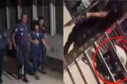 পুলিশের হাত থেকে ছিনিয়ে মুয়াজের মাথায় হাতুড়ি দিয়ে পেটাতে থা…
