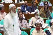 রুমিন ফারহানার বক্তব্যকালীন সরকারি এমপিদের অঙ্গভঙ্গি, প্রশ্…